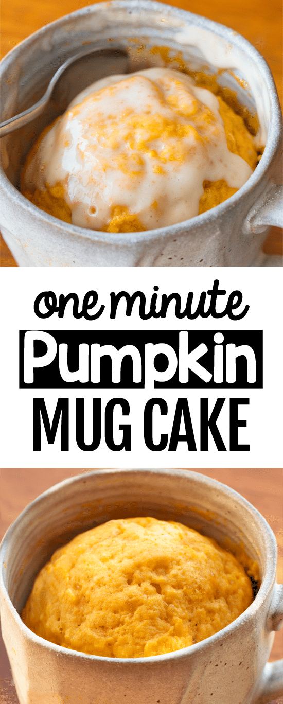 One Minute Vegan Pumpkin Mug Cake Recipe