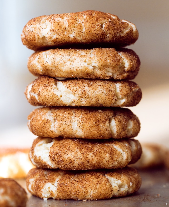 Snickerdoodle Vegan Cookie Recipe