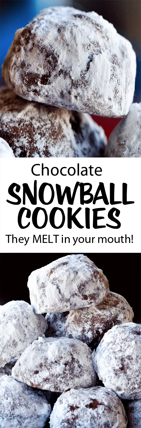 The Best Chocolate Snowball Cookie Holiday Recipe