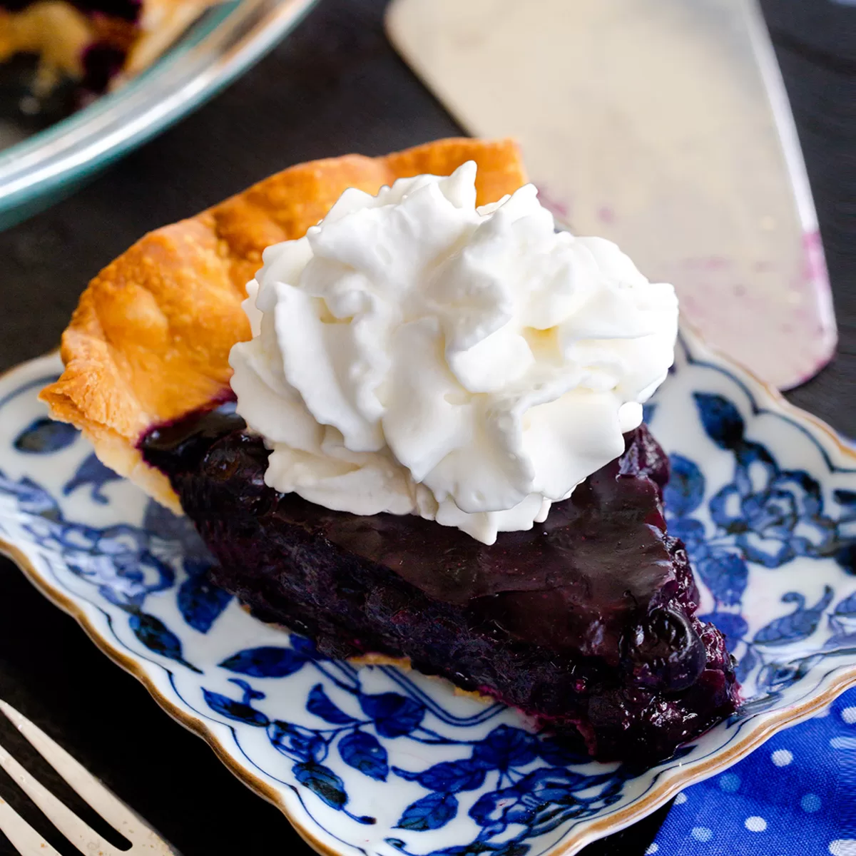 Chef Ani  Fresh Blueberry Pie