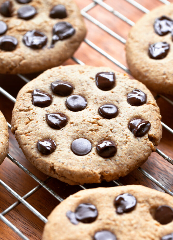 Protein Powder Cookies with chocolate chips and peanut butter