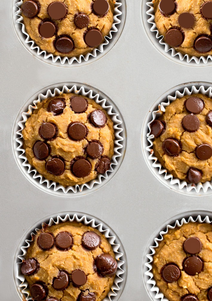 Healthy Blender Pumpkin Snack Muffins