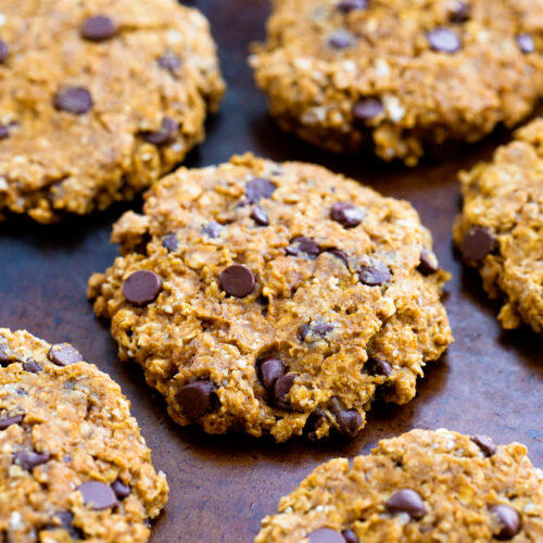 Healthy pumpkin deals cookies