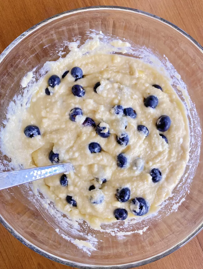 Homemade Blueberry Bread Batter