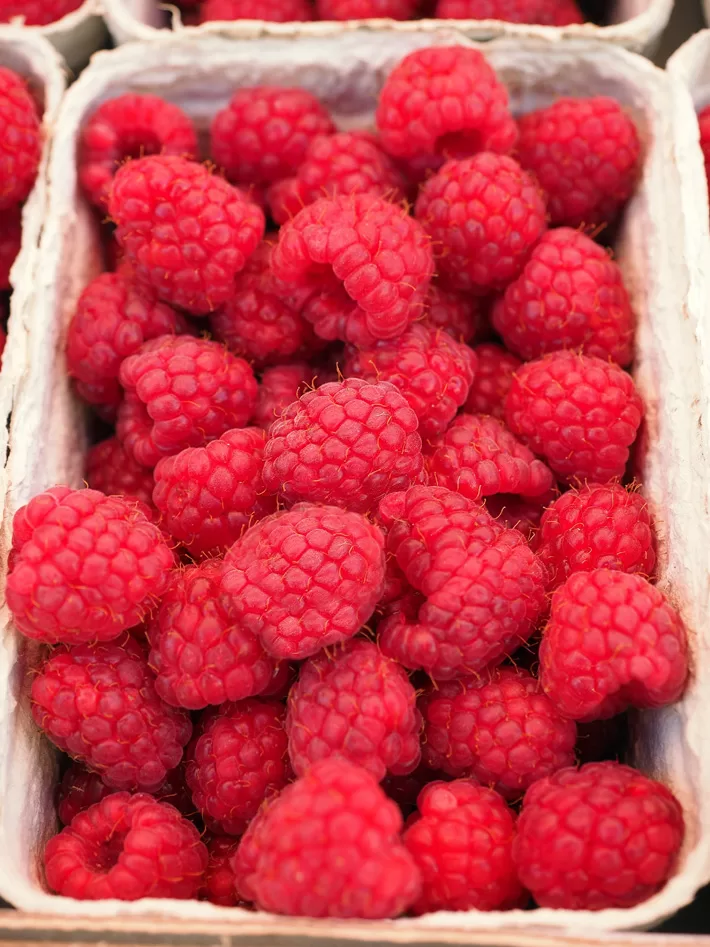 Container Of Raspberries