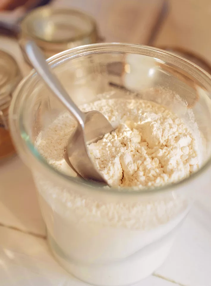 Vegan Protein Powder