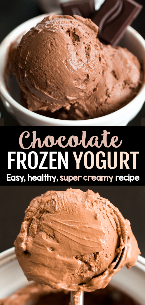 Homemade Chocolate Froyo Recipe