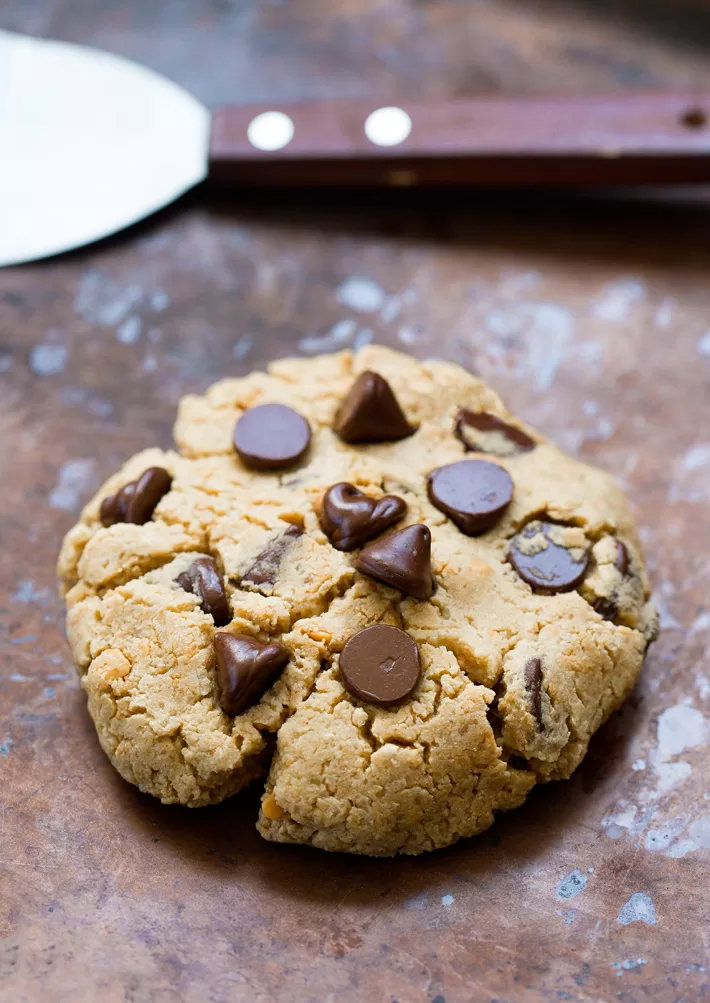 Peanut Butter Protein Cookie Recipe