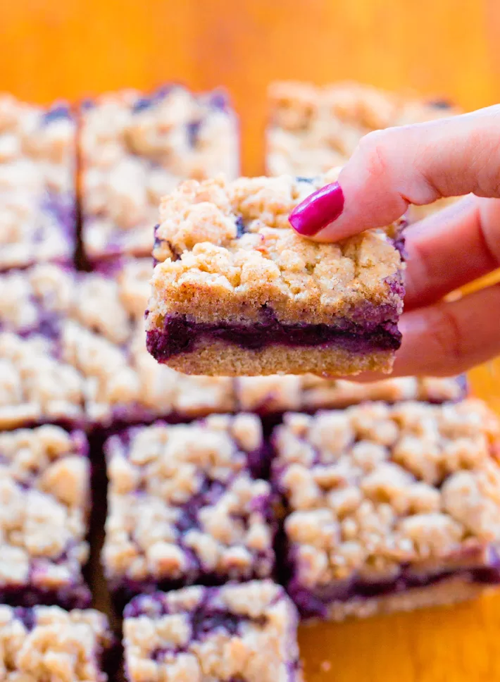 Blueberry Pie Square Recipe