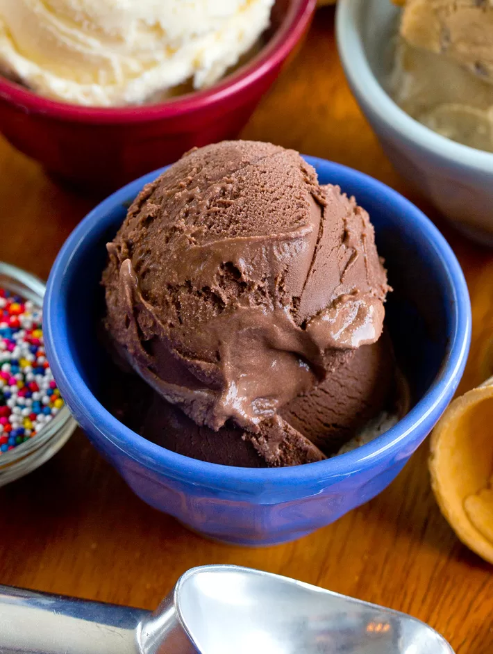 Chocolate Cashew Ice Cream