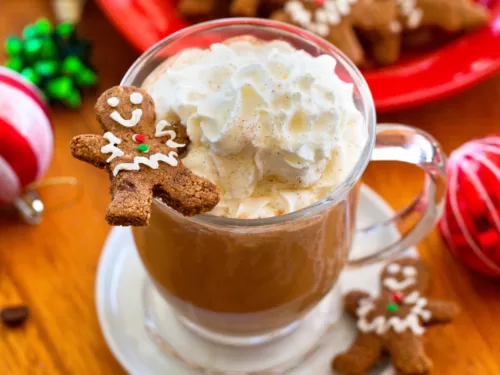 https://chocolatecoveredkatie.com/wp-content/uploads/2023/10/Gingerbread-Latte-Recipe-500x375.webp