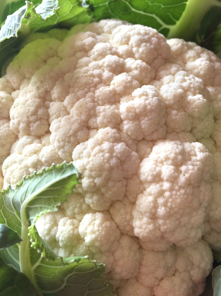 Head of raw cauliflower