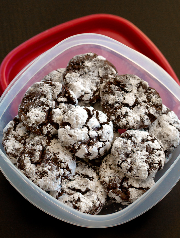 Store Leftover Cookies in a Plastic Container