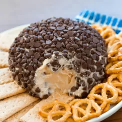 Chocolate Chip Cheese Ball Recipe