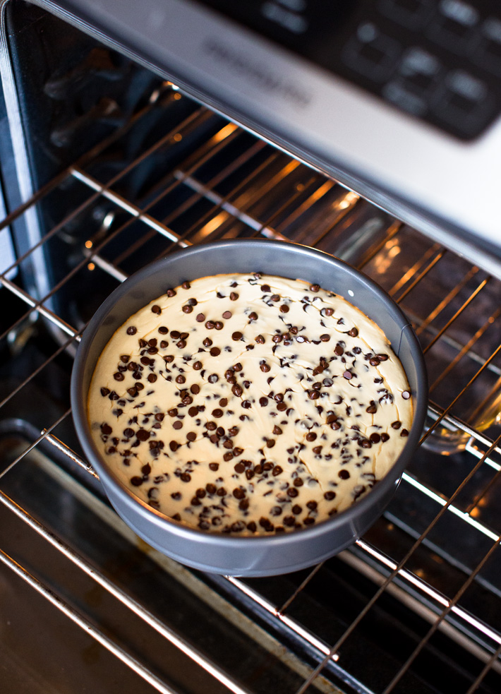 Protein Cheesecake Recipe In Springform Pan