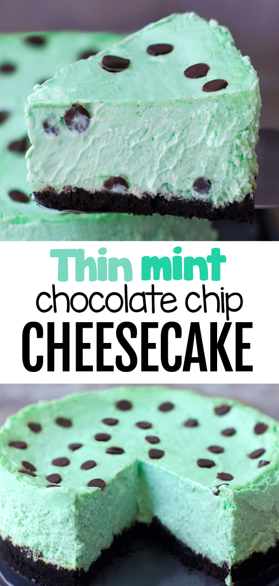 Easy Baked Mint Chocolate Chip Cheesecake Dessert