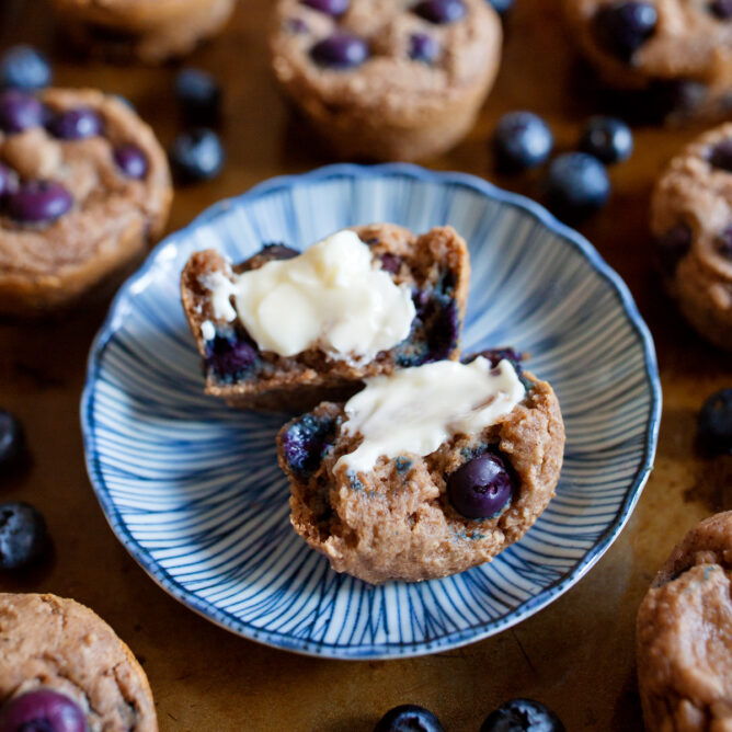 blueberry-protein-muffins-over-35-grams-of-protein