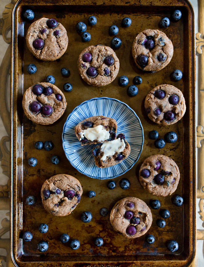 High Protein Blueberry Muffin Recipe