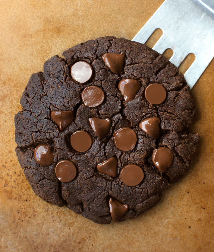 Chocolate Protein Cookie Chocolate Protein Cookie