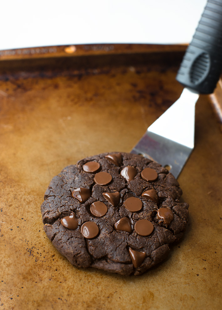 Single Serving Double Chocolate Cookie Single Serving Double Chocolate Cookie