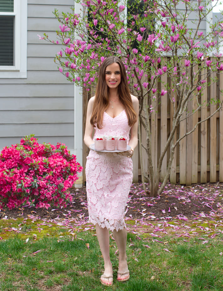 Brunch Party Raspberry Dessert Chocolate Covered Katy