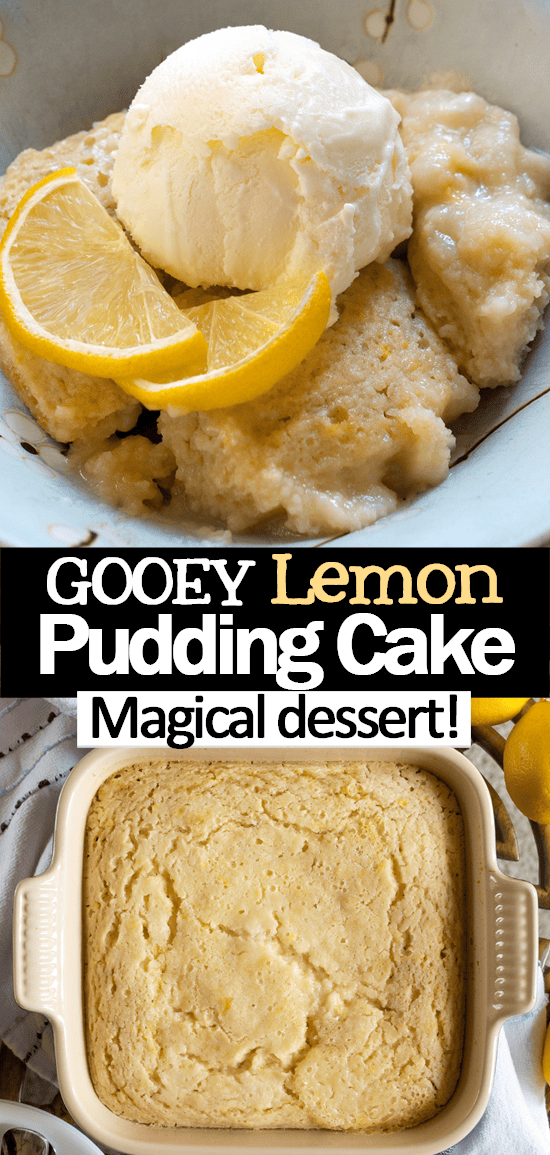 Easy Vegan Lemon Pudding Cake (No Eggs!) Easy Vegan Lemon Pudding Cake (No Eggs!)