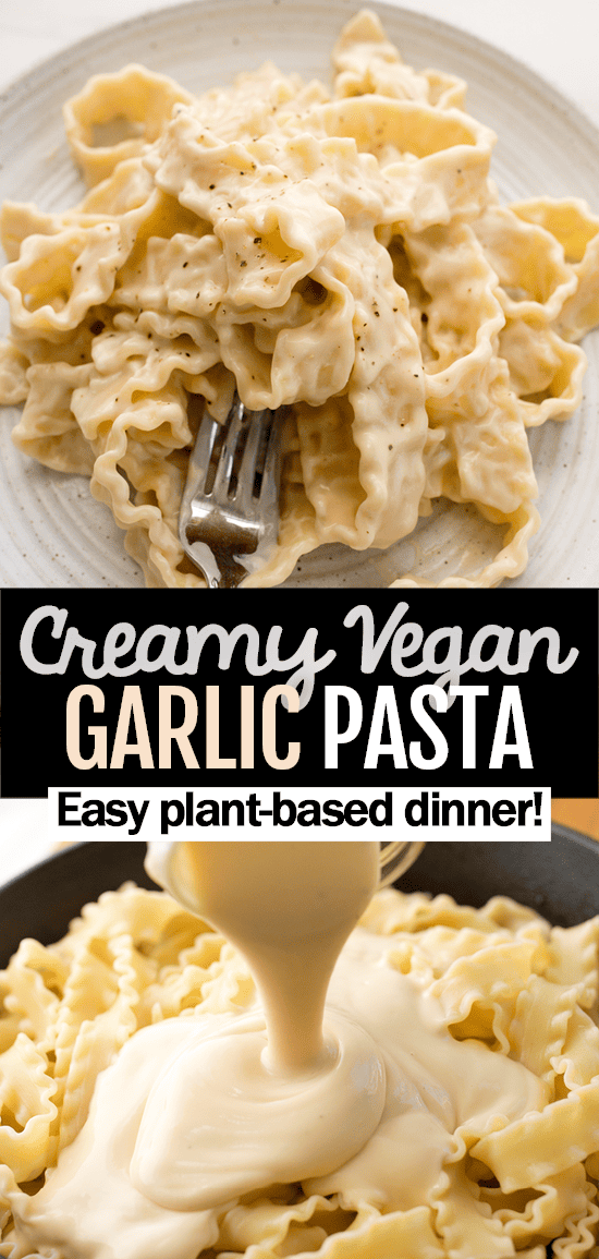 Easy Vegan Pasta Dish (Dairy Free Sauce) Easy Vegan Pasta Dish (Dairy Free Sauce)