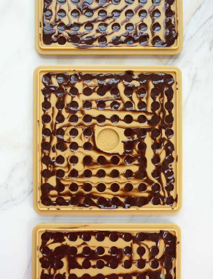 Homemade Chocolate Chips In Candy Molds Homemade Chocolate Chips In Candy Molds