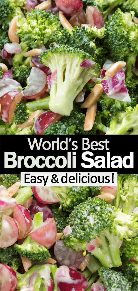 Simple Vegetarian Broccoli Salad Simple Vegetarian Broccoli Salad