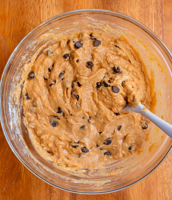 Chocolate Chip Protein Pumpkin Bread Batter