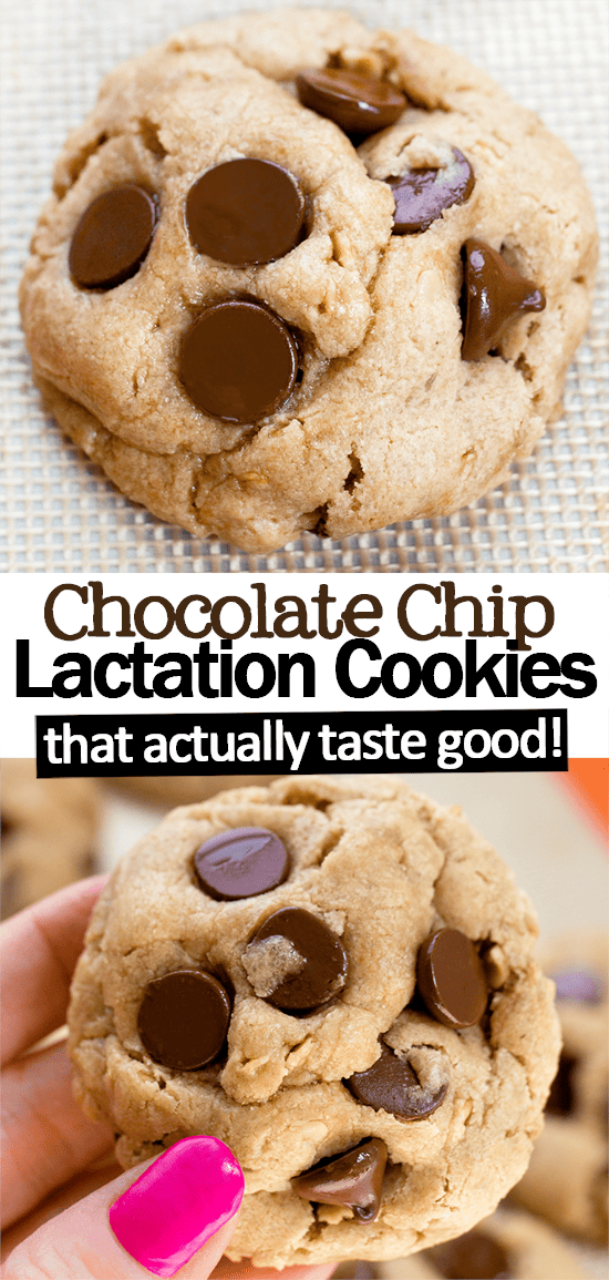 Easy Lactation Cookie Recipe (No Eggs) Easy Lactation Cookie Recipe (No Eggs)