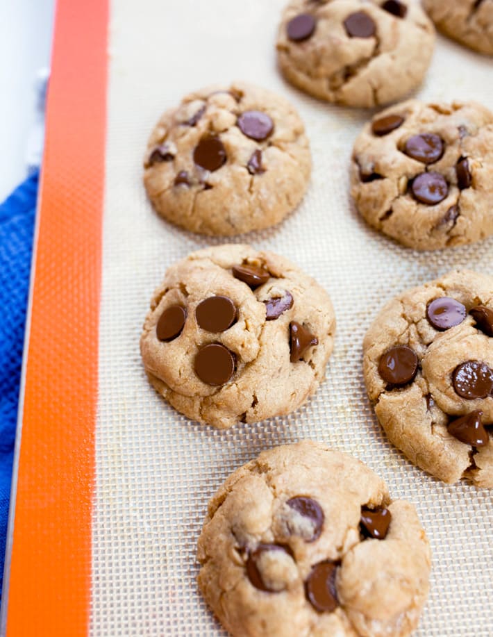 Lactation Cookies (Vegan, Dairy Free) Lactation Cookies (Vegan, Dairy Free)
