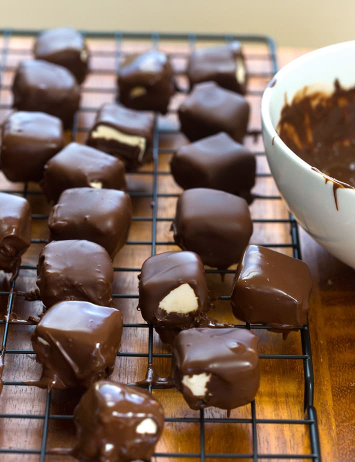 No Bake Chocolate Cheesecake Bites No Bake Chocolate Cheesecake Bites