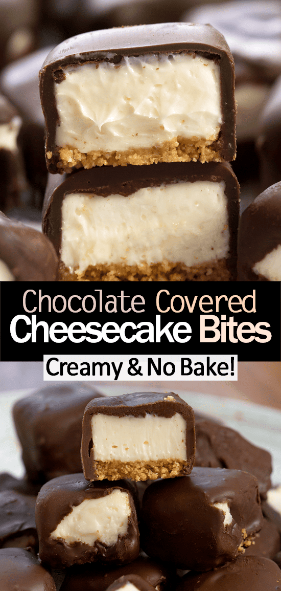 The Best Mini Cheesecake Bites (Chocolate Coating, Graham Cracker Crust) The Best Mini Cheesecake Bites (Chocolate Coating, Graham Cracker Crust)