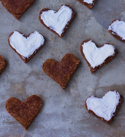 chocolate sugar cookies recipe