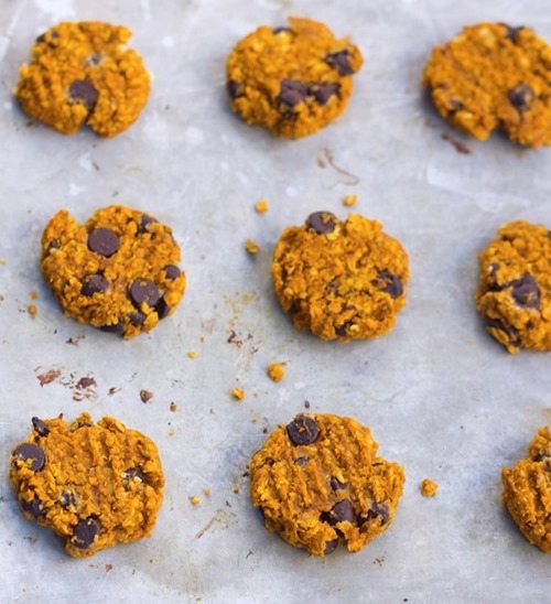 pumpkin chocolate chip cookies recipe