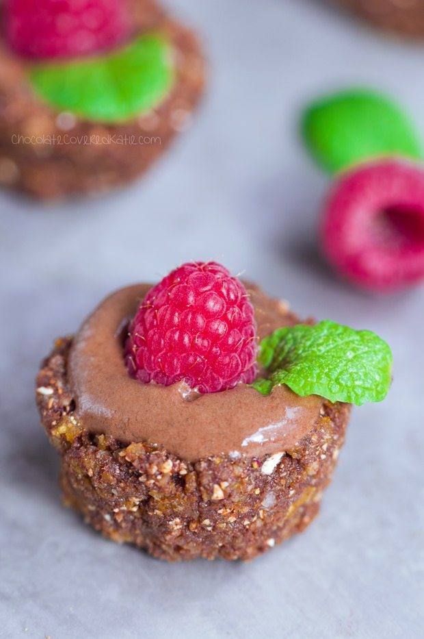 RAW CHOCOLATE ICE CREAM PIES - gluten-free / soy-free / sugar-free / dairy-free / paleo / vegan. Full recipe link: https://chocolatecoveredkatie.com/2015/07/06/raw-chocolate-dessert-ice-cream/