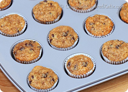 Vegan Mini Muffins