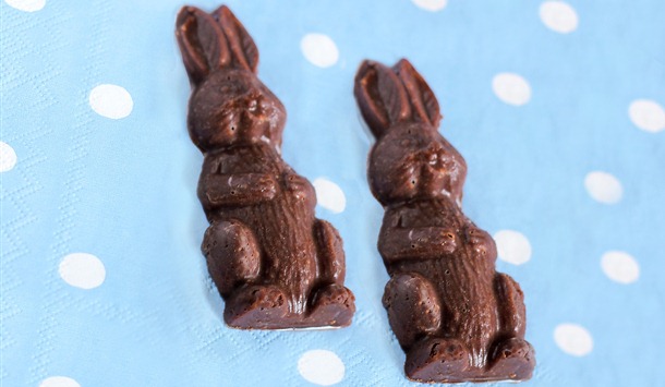 chocolate bunnies