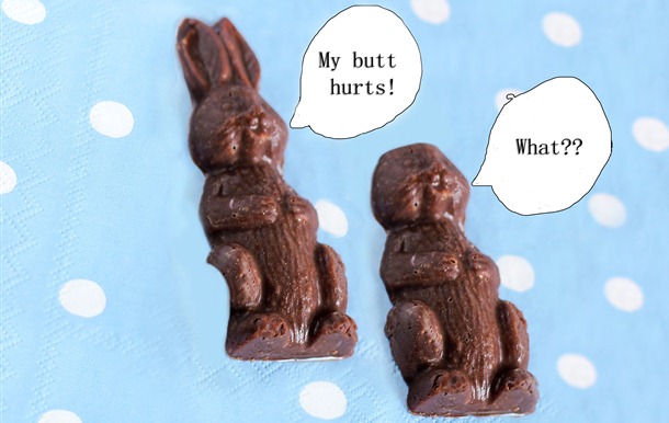 https://chocolatecoveredkatie.com/wp-content/uploads/Chocolate-Easter-Bunnies_1099C/my-butt-hurts-what_thumb.jpg