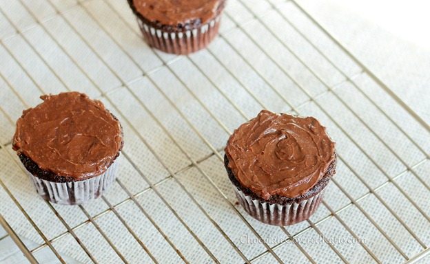 chocolate cupcakes