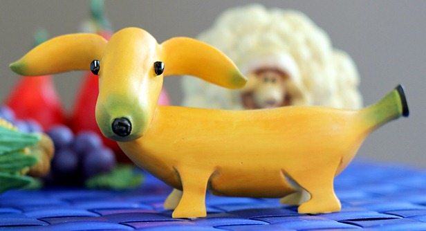 banana dog