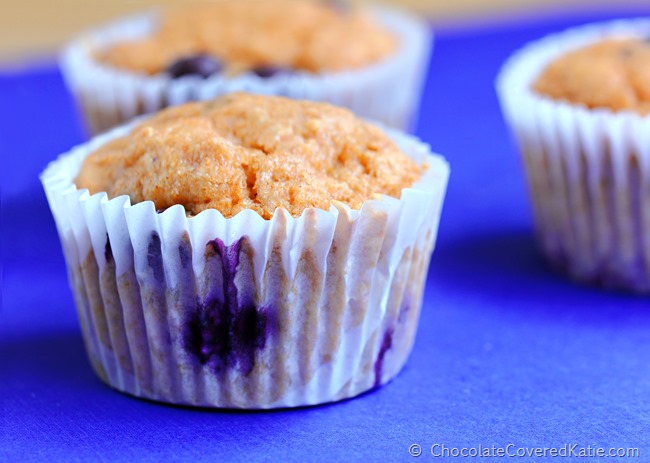 Fat Free Blueberry Muffins