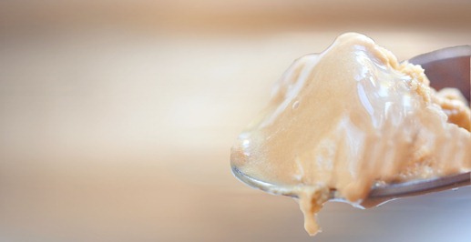 gingerbread molasses ice cream