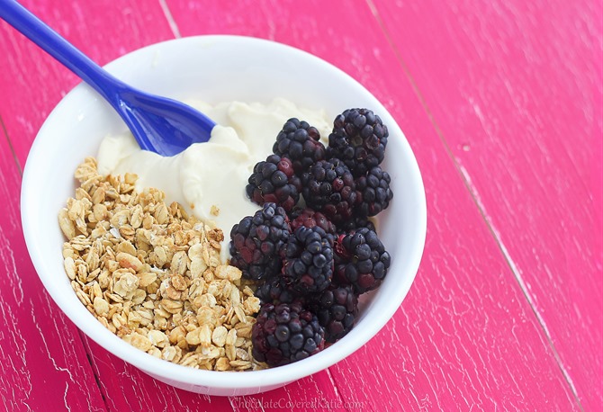 How To Make Greek Yogurt