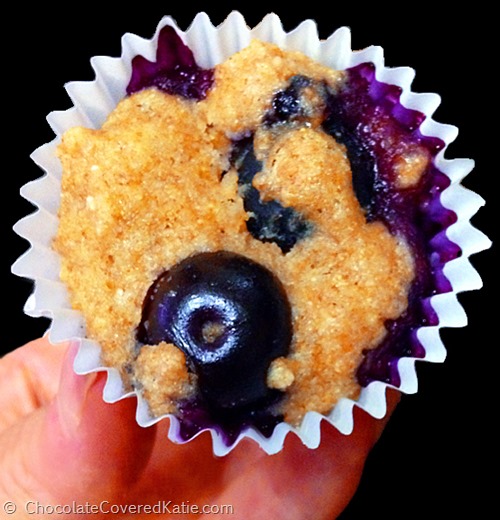 Blueberry Mini Muffin