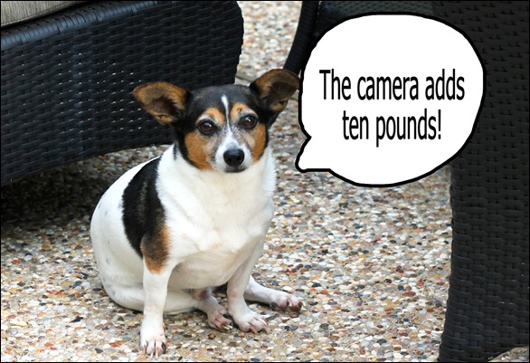 camera adds ten pounds