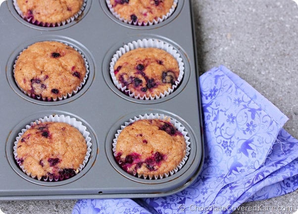 Blackberry Muffins