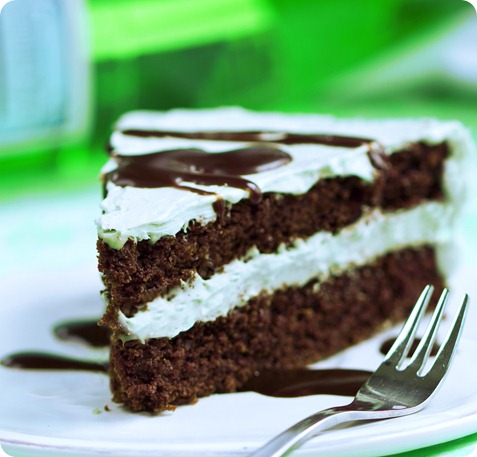 Frosted Mint Chocolate Double Layer Cake - Chocolate Covered Katie