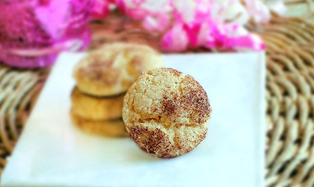 healthy snickerdoodles